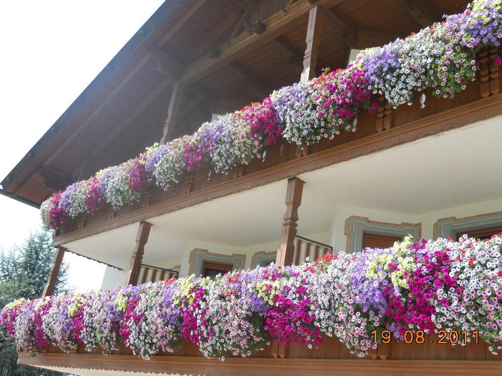 Hotel Rosenheim Rodengo Esterno foto